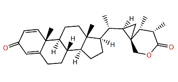 Sinubrasolide G